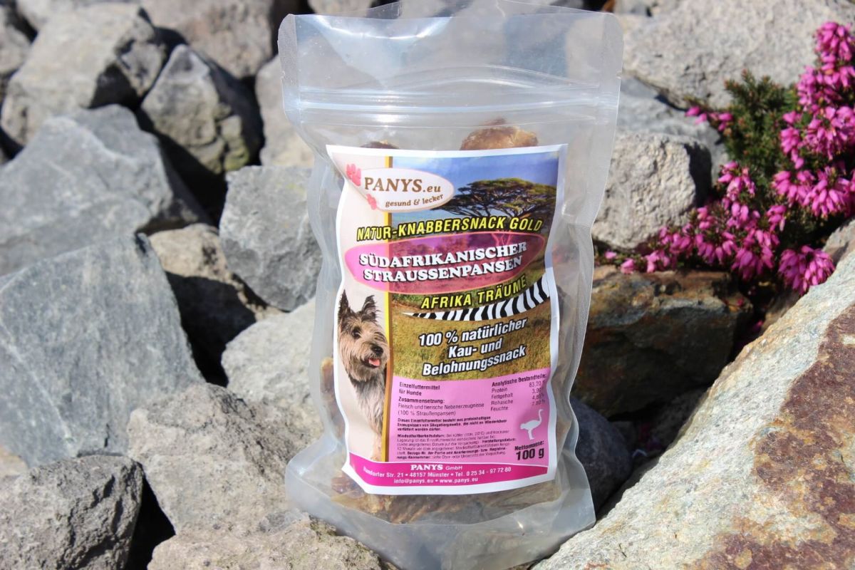 Südafrikanischer Straußenpansen