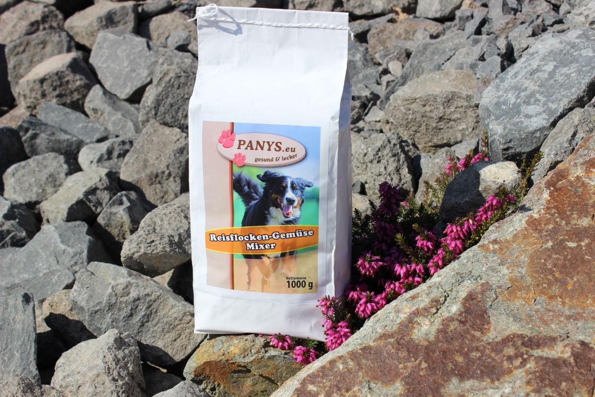 Reisflocken-Gemüse-Mixer