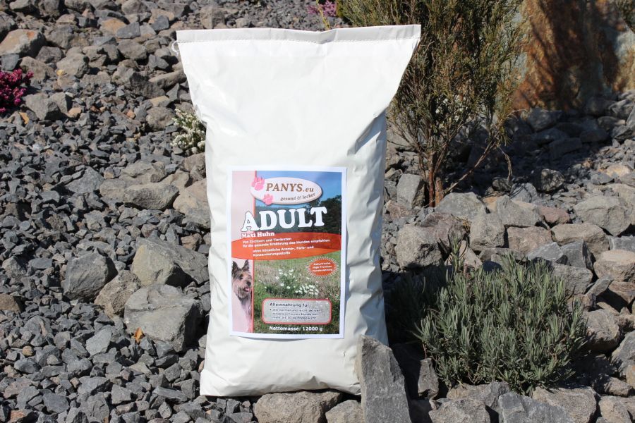 Adult Maxi Huhn (Züchterangebot 3+1 gratis)